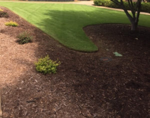 Landscaping Mulch Seneca, SC