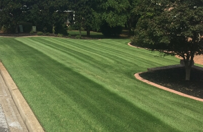 Lawn Care Anderson, SC